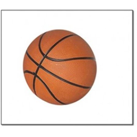 OLYMPIAN ATHLETE 7" Mini Basketball OL131306
